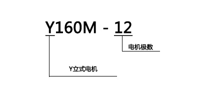 2024澳门开门原料免费